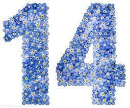 关于家的唯美句子 关于家的优美语句