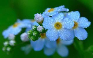 2021年感恩节寄语唯美短句精彩合集97句