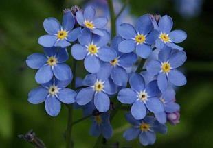 宫崎骏情话最暖心短句(精选30句)