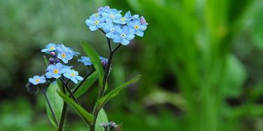 2021年马上到了的励志说说 2021年再见2021年你好超暖心说说