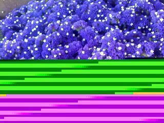 再见十一月你好十二月 你好十二月文案(精选91句)