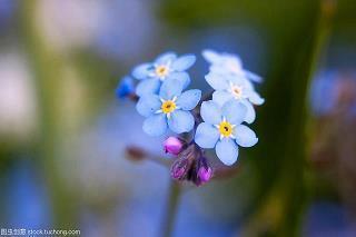 你好2021正能量朋友圈说说文案