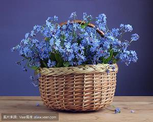 中医金句 中医经典语录哲理(精选33句)