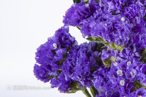 关于文艺唯美的句子