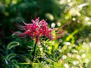 正能量励志句子经典