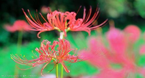 暗示自己吃醋的句子 心疼不是在你离开，而是当你再次出现