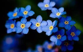 喜迎2021年五一劳动节的祝福语