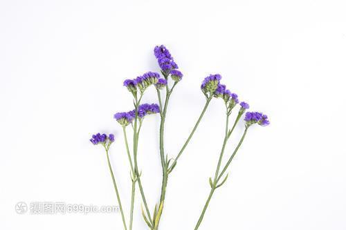 2021中秋节微信祝福短句(精选87句)