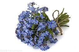 【精品】恭喜2021届毕业的祝福寄语推荐83句