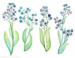 关于护士节励志句子摘抄27句