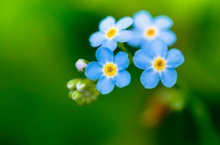 再苦再累自己扛的句子 心累又无奈的说说精选34句