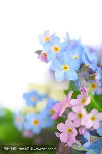 对父母失望看透的句子