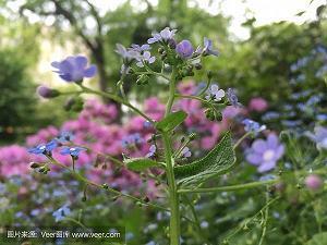 2021年儿童节抖音简短文案句子汇总83句