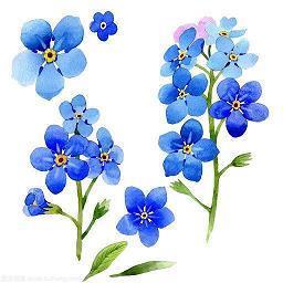 人物语言的语句94句