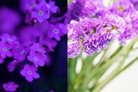 高情商说晚安的说说 晚安温柔的句子(精选75句)