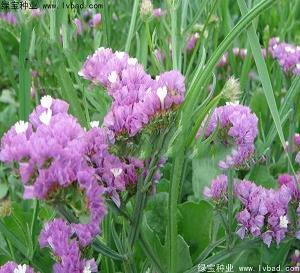 11月你好心情唯美语录(精选59句)