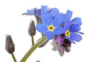 如约而至的唯美短句