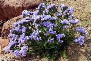 做个狠心的人经典句子