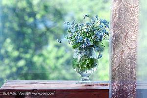 九月你好热门文案句子(精选92句)