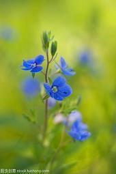 富有哲理的励志语句 青春正能量的哲理文案大全