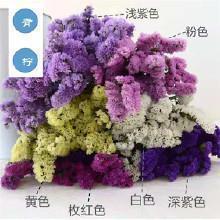 2021最精彩的中秋节文案说说祝福(精选109句)