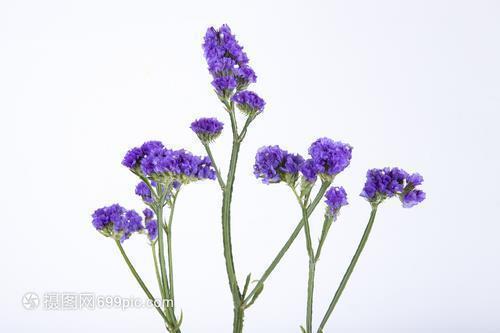 2021唯美短句子94句