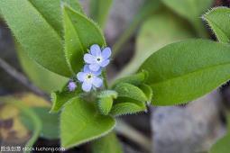 2021清明节祭拜先祖祭语