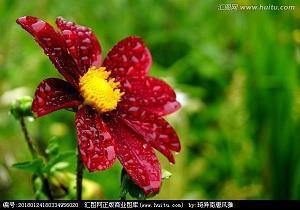 感恩自然的句子11句