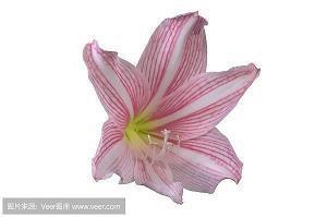 睡前一句话朋友圈晚安说说摘抄26句