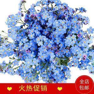 唯美心烦的句子