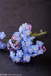 女人看淡一切的一句话汇总39句