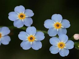 异地恋最感人的一句话