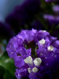 对爱情后悔失望的句子说说心情