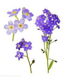 发朋友圈委屈又无奈的句子 一个人心情低落的说说推荐39句