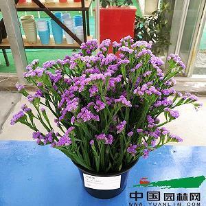 小众又扎心的现实句子36句