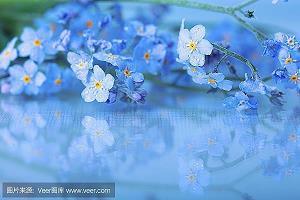重阳节活动主题口号