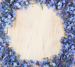 夕阳风景照配什么文字