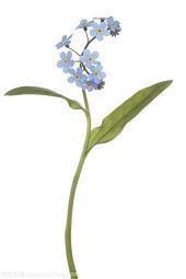 幼儿园的快乐时光心语 幼师送给孩子暖心的话(精选60句)