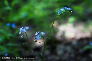 十月你好创意文案句子(精选94句)