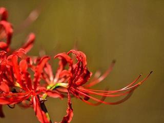 生日文案短句子干净儿子汇总56句