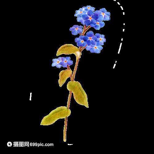 高考倒计时朋友圈文案汇总113句