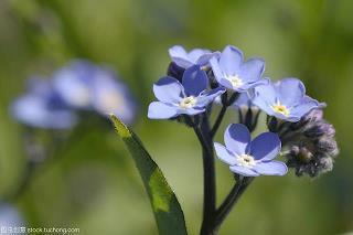 友情不散的短句 关于友谊的名言推荐75句