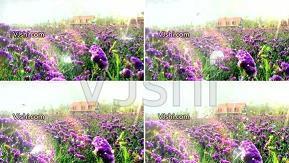 伤感优美的句子