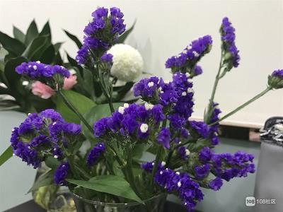 阳光励志唯美句子