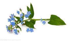 九年级励志名言警句(精选30句)