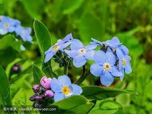 去海边心情舒畅的句子