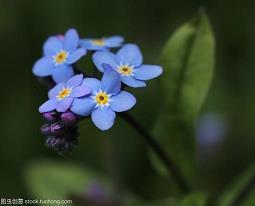 2020发朋友圈走心的情感句子 2020经典走心的文案