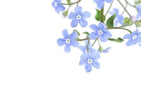 夏天的味道句子短句唯美汇总51句