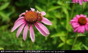 描写时光飞逝的句子