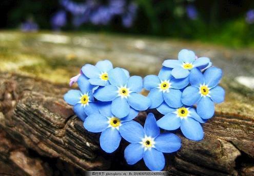 长大后的心酸的句子 成长的句子简短唯美